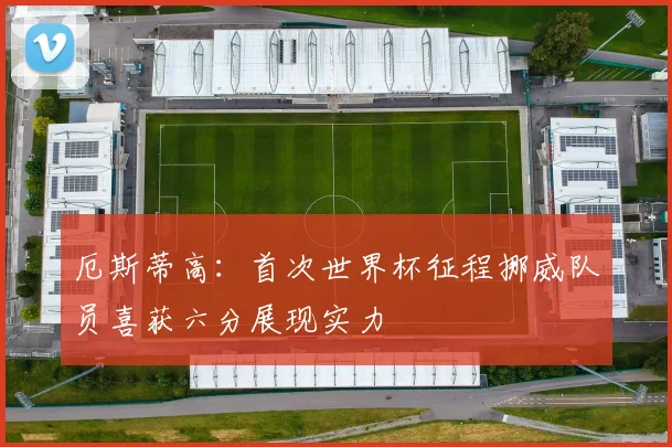 厄斯蒂高：首次世界杯征程挪威队员喜获六分展现实力